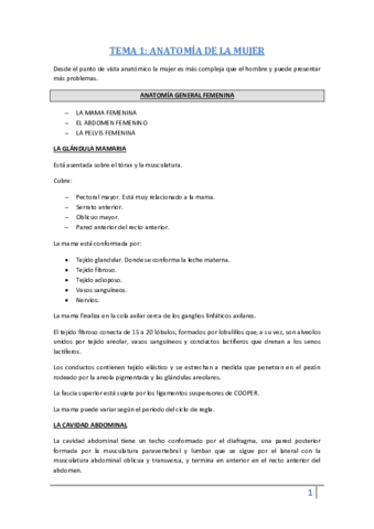 Temas Fisioterapia Abdomino Pelvi-Perineal.pdf