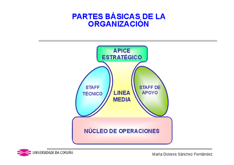 T4Partes-Organizacion.pdf