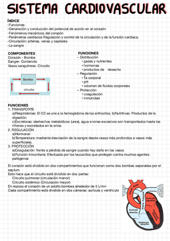 Tema-6-CV-I-dc82ff21a86618e940f2bd2ee18834c6.pdf