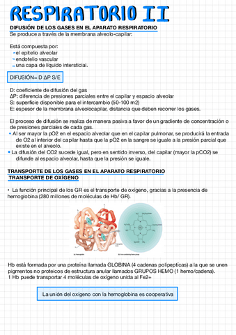 Respiratorio-II.pdf