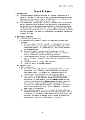 H.-Tema-9.-FV.pdf