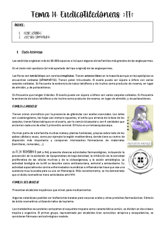 Tema-14-botanica.pdf