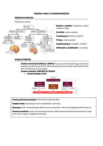 ESQUEMA-TEMA-5.pdf