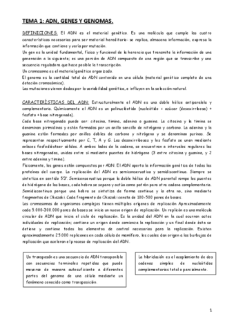 Genetica-2o-Cuatrimestre-1o-Biotecnologia-Unizar.pdf