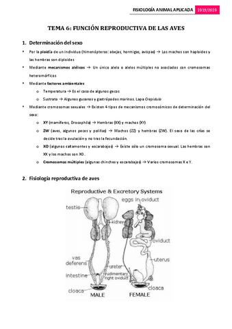 Tema-6.-Funcion-reproductiva-de-la-aves.pdf