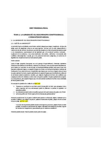 Dret-Processal-Penal-.pdf