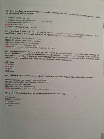 2013 corregido 3.jpg