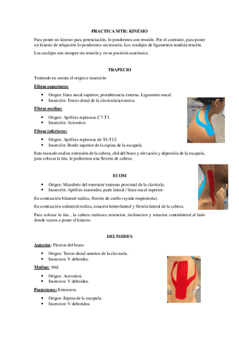 MTR-KINESIO.pdf