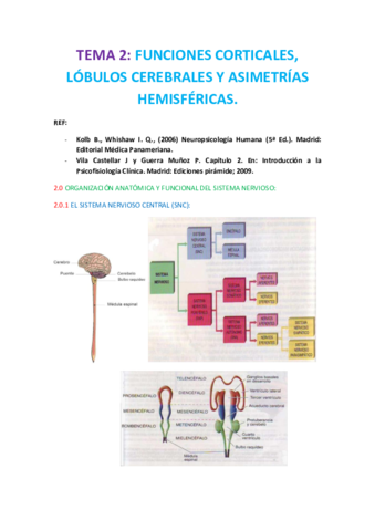 TEMA 2 PSICOFISIO.pdf