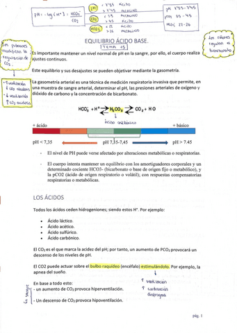 TEMA-14Acido-base.pdf