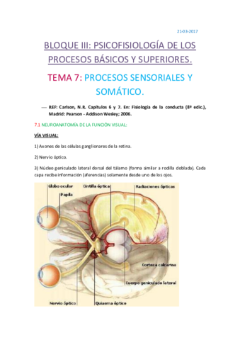 tema 7 psicofio.pdf