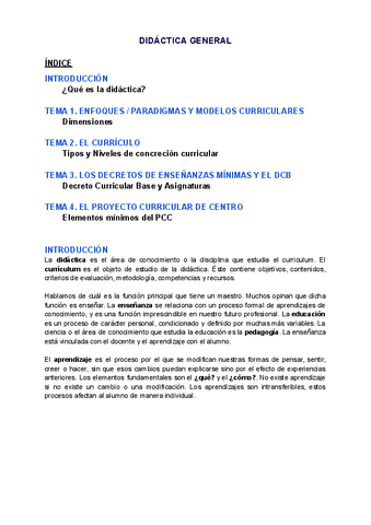 Apuntes-Didactica-T.pdf