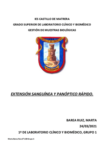 Informe-sobre-panoptico-rapido-Marta-Barea-Ruiz.pdf
