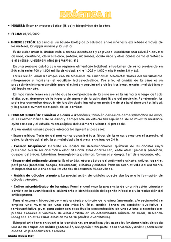 PRACTICA-11.pdf