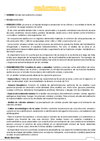 PRACTICA-12.pdf