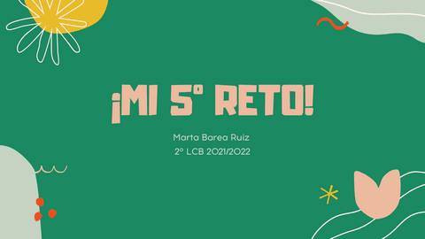 Reto-5.pdf