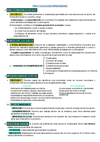 Resumen-empresa.pdf