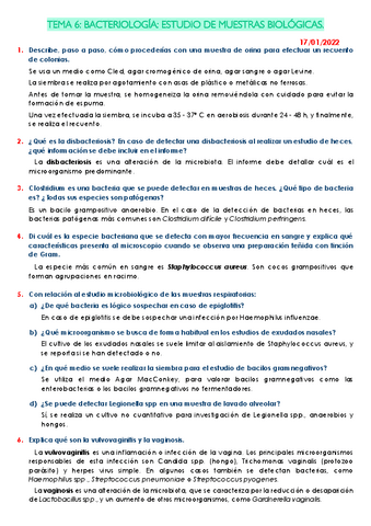 Actividade-tema-6-de-micro.pdf