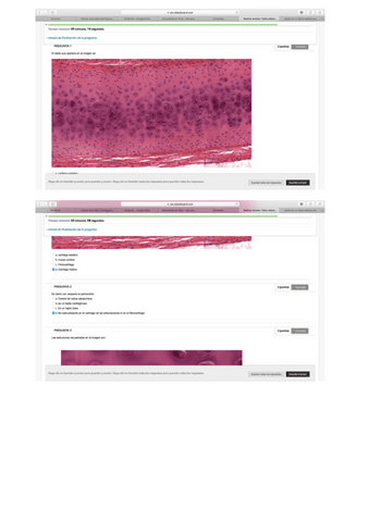 PREGUNTAS-EXAMENES-BIO.pdf