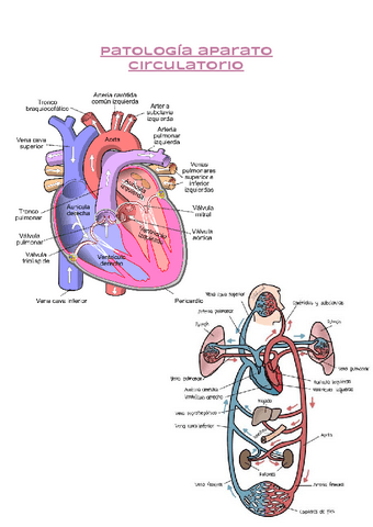 Resumen-Cardiologia-practicas.pdf