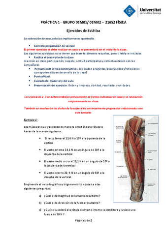 Ejercicios-GM-18-19-Practica-1-Grupo-Medio-1610-y-1710.pdf