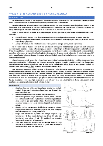 TEMA-6-WAYA.pdf