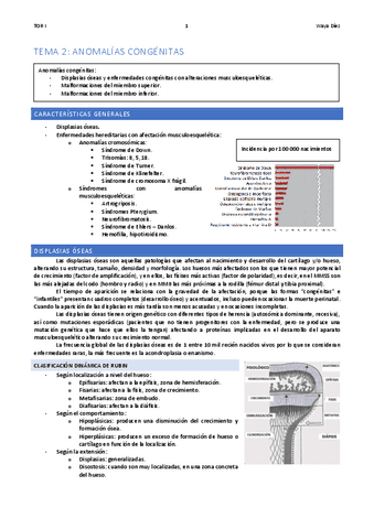 TEMA-2-WAYA.pdf
