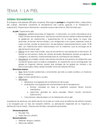 Clínica II.pdf
