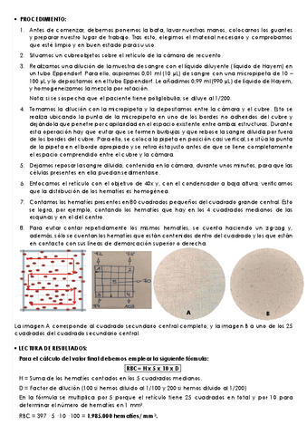 Practica-5-2.pdf