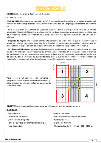Practica-5.pdf