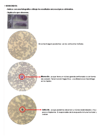Practica-7-2.pdf