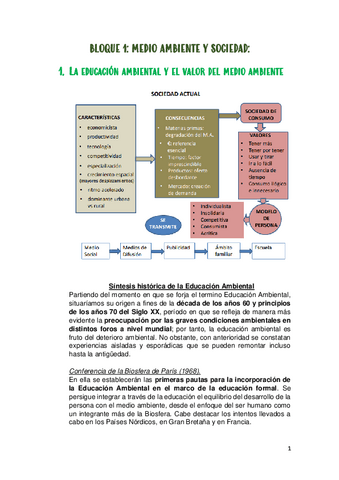 TEORIA-AMBIENTAL.pdf