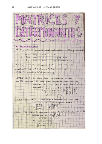 TEORIA-TEMA-1-MATRICES-Y-DETERIMINANTES.pdf
