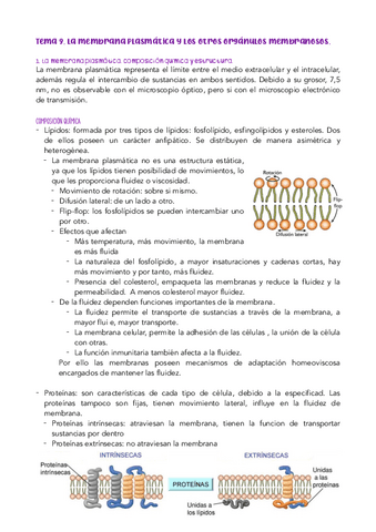 TEMA-9.pdf