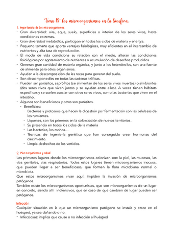 Tema-19.pdf