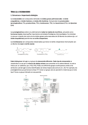 TEMA-14.-EICOSANOIDES.pdf