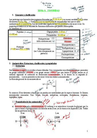 PROTEINAS.pdf