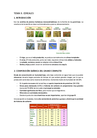 TEMA-9.-Cereales.pdf