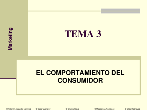 TEMA 3 Comportamiento del consumidor.pdf