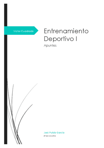 Apuntes-Victor-Cuadrado.pdf