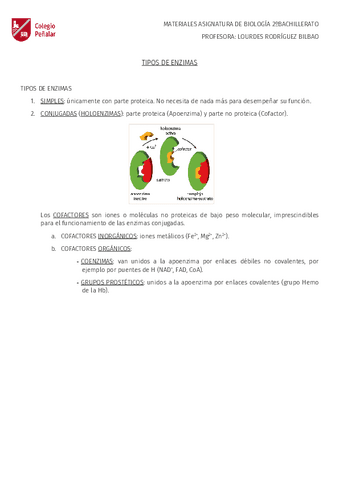 2oBACHILLERATO-TIPOS-DE-ENZIMAS.pdf
