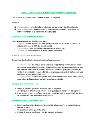 autofinanciacion..pdf
