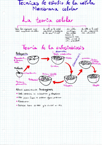 MEMBRANA-CELULAR.pdf