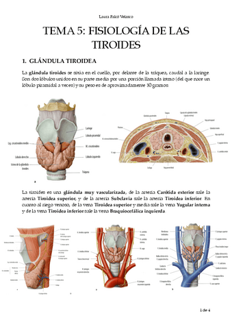 T.5-Fisio-de-Tiroides-PDF.pdf