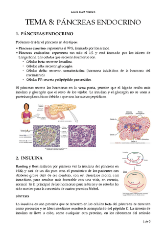 T.8-Pancreas-endocrino.-PDF.pdf