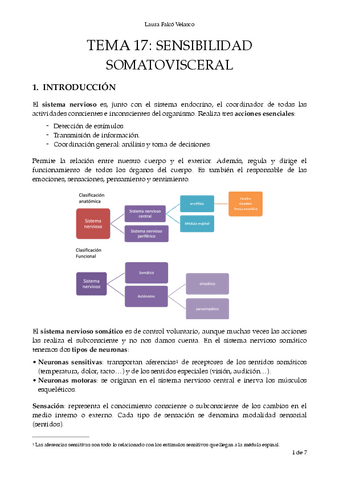 T.17-Sensibilidad-Somato-visceral.-PDF.pdf