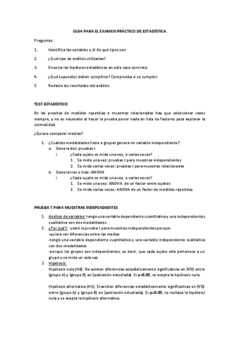 EXAMEN-PRACTICO.pdf