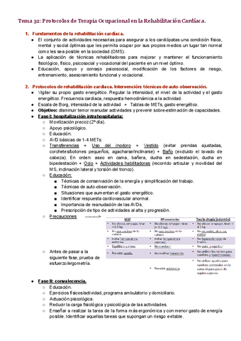 Tema-32.pdf