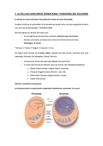 BIO-tema-1-16.pdf