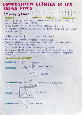 BIO1-bach-composicion-quimica-de-los-seres-vivos.pdf